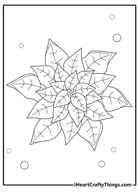 Detailed poinsettia bloom with layered petals coloring sheet
