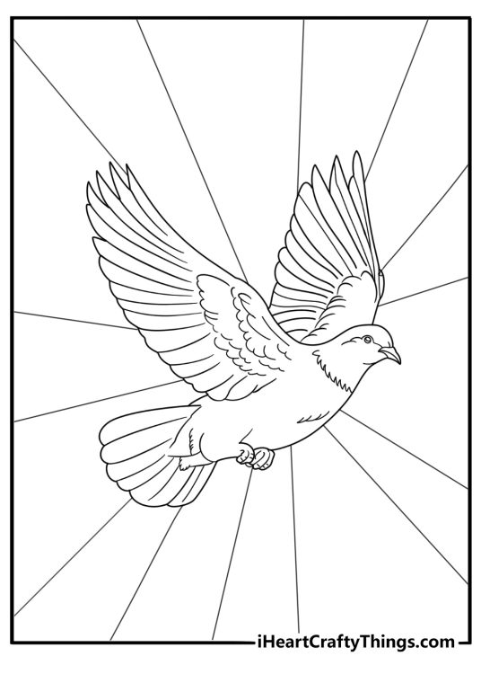 Dove flying across a sunrise background coloring sheet