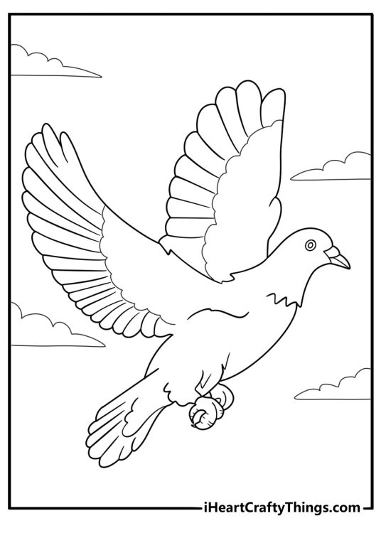 Dove flying with wings spread easy coloring page for kids