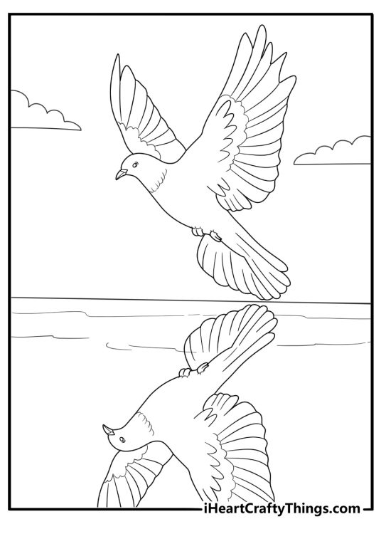 Dove gliding above water reflection scene coloring page