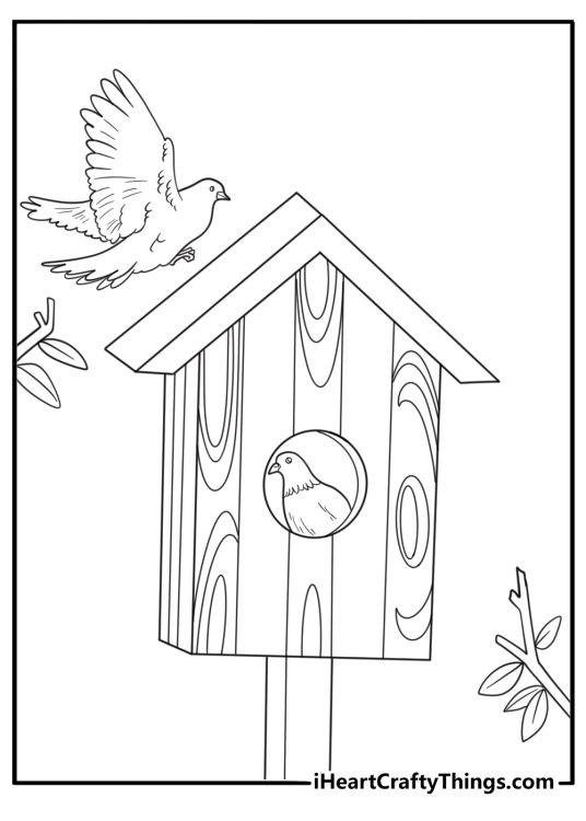 Dove in a birdhouse coloring page for kids