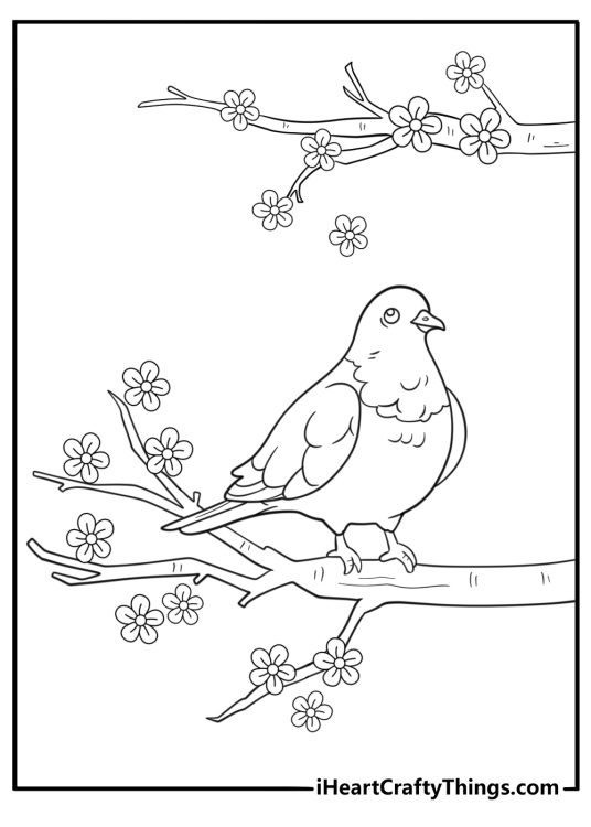 Dove in a tree with blossoms kawaii cartoon coloring page