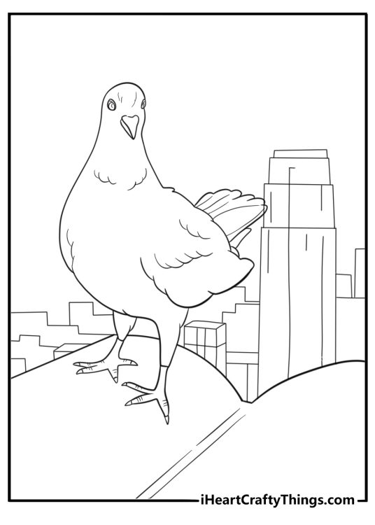 Dove on a rooftop in the city coloring sheet for kids