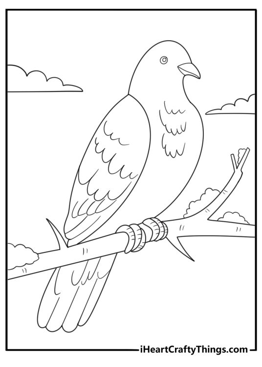Dove on a snowy branch winter themed coloring sheet