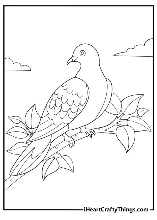 Dove resting on a tree branch simple coloring page