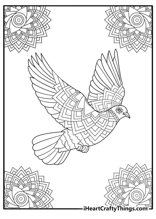 Dove with soft feathers mandala style coloring page for adults