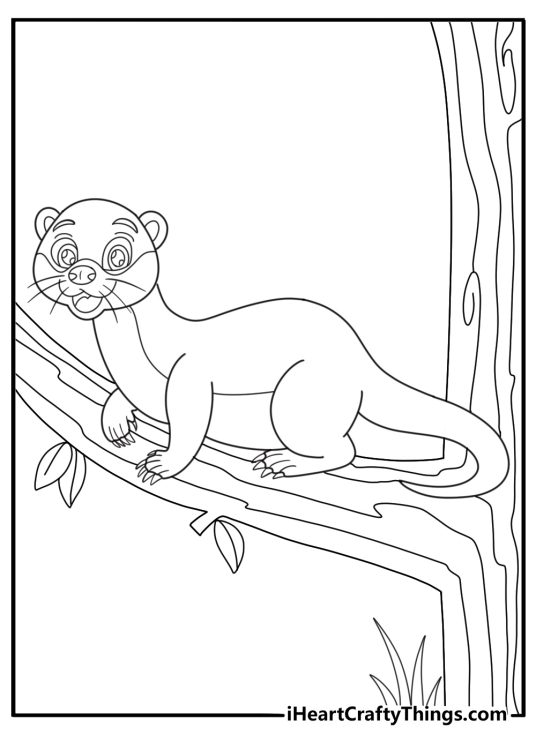 Ferret climbing on a branch detailed coloring sheet