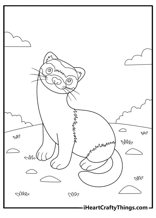26 Ferret Coloring Pages