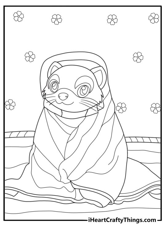 Ferret curled up in a blanket cute coloring sheet