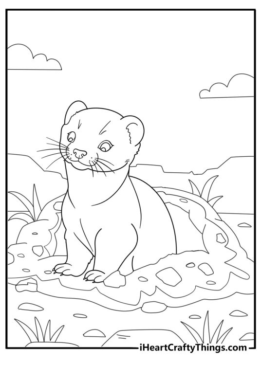 Ferret digging in the dirt cartoon coloring page