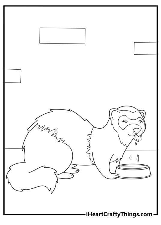 Ferret drinking water from a bowl simple coloring page