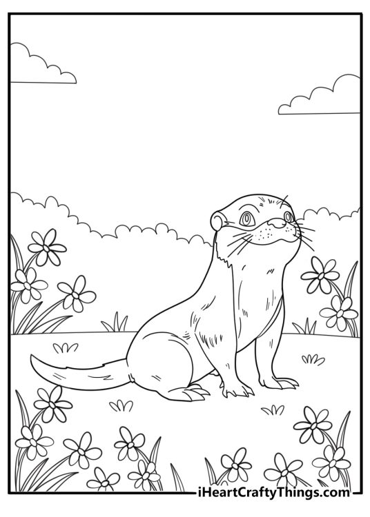 Ferret exploring a garden coloring page for kids