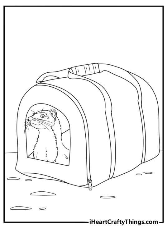 Ferret in a pet carrier easy coloring sheet