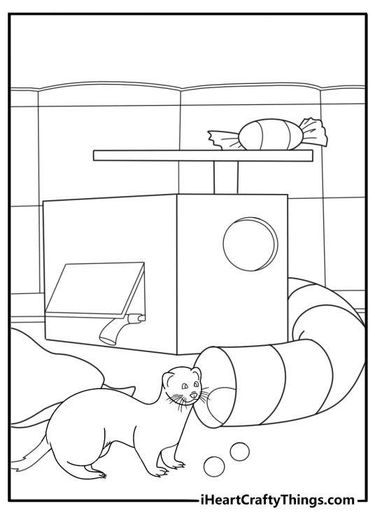 Ferret in a playpen with toys easy coloring sheet