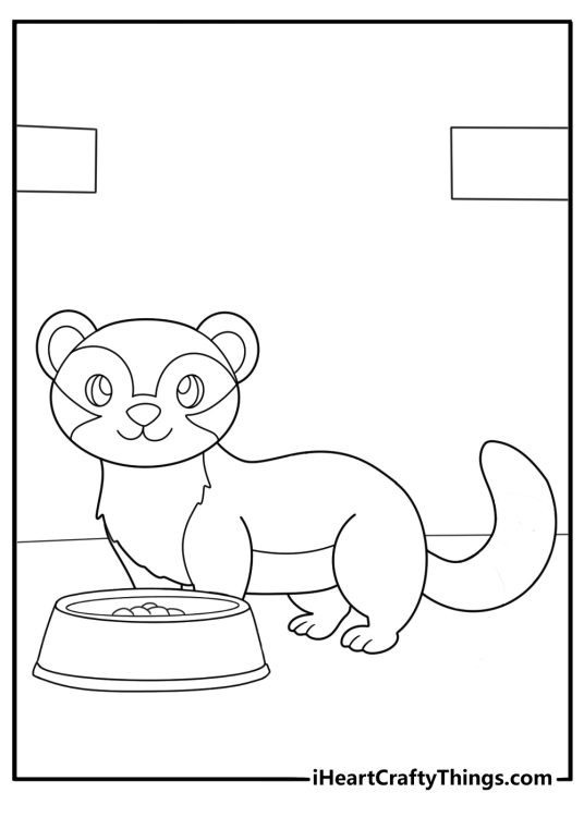 Ferret near a food bowl simple coloring sheet