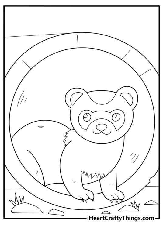 Ferret peeking out of a tunnel simple coloring page