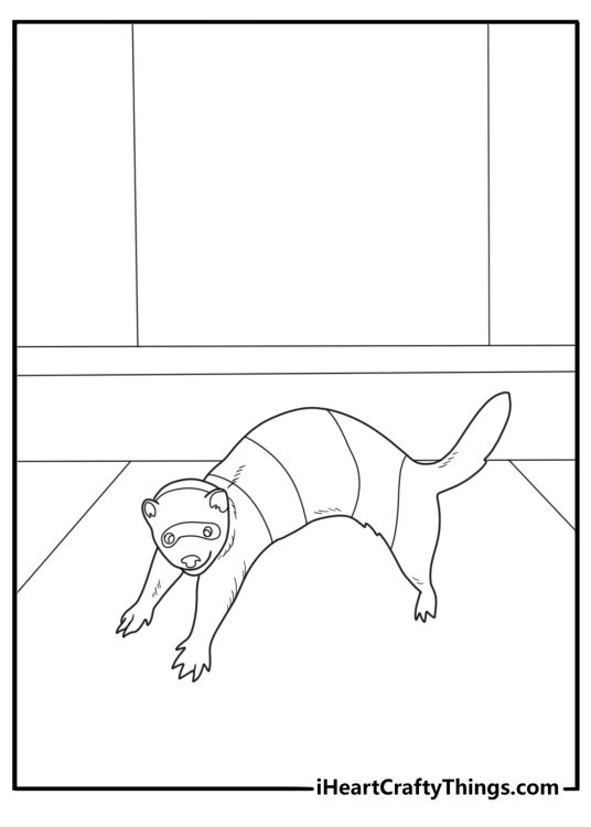 Ferret stretching on the floor cute cartoon coloring sheet