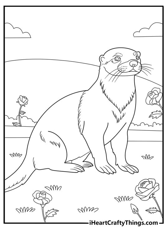 Ferret surrounded by flowers detailed coloring page for adults