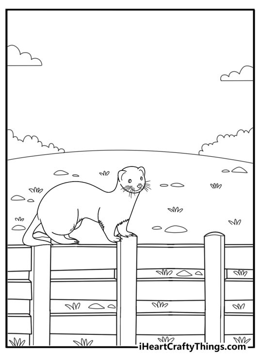 Ferret walking along a fence simple coloring page