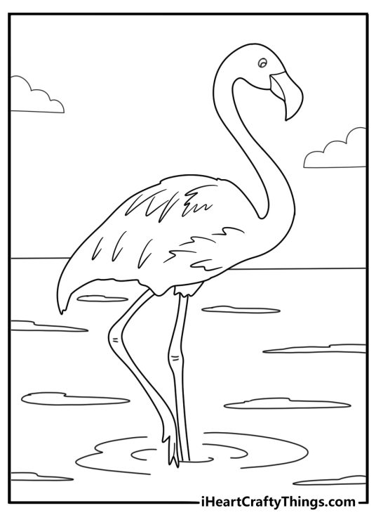 flamingo flock crossing shallow water easy coloring sheet for kids