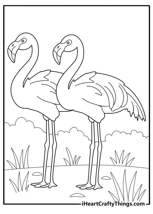 flamingo pair standing in tall grass wild habitat coloring sheet