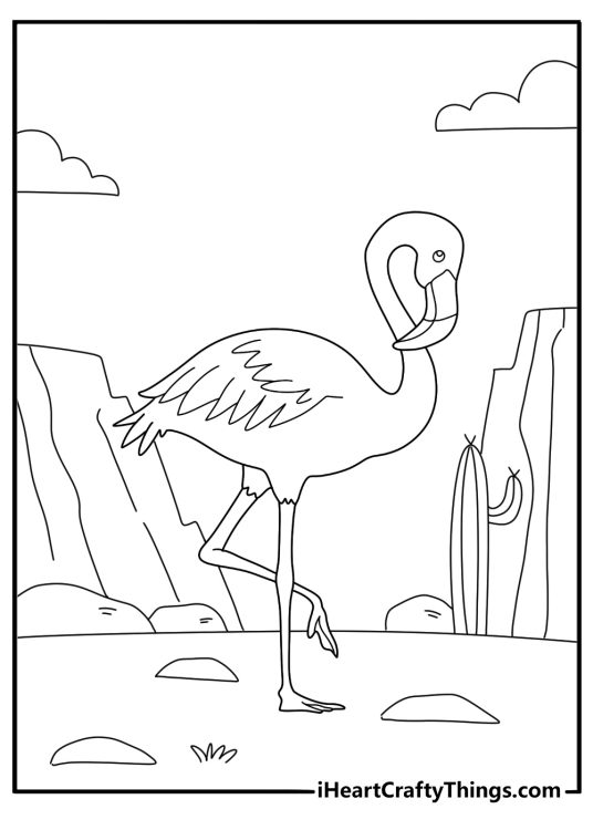 flamingo standing beside a cactus desert themed coloring page