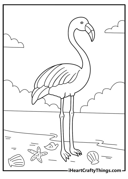 flamingo surrounded by seashells and starfish beach coloring sheet