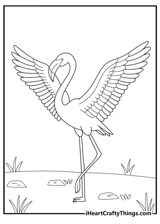 flamingo with wings spread wide detailed coloring page