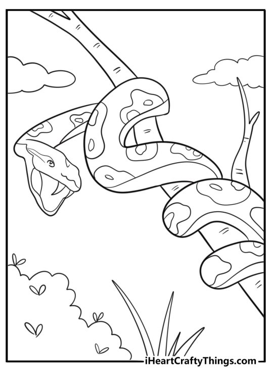 Giant anaconda wrapped around tree trunk coloring sheet