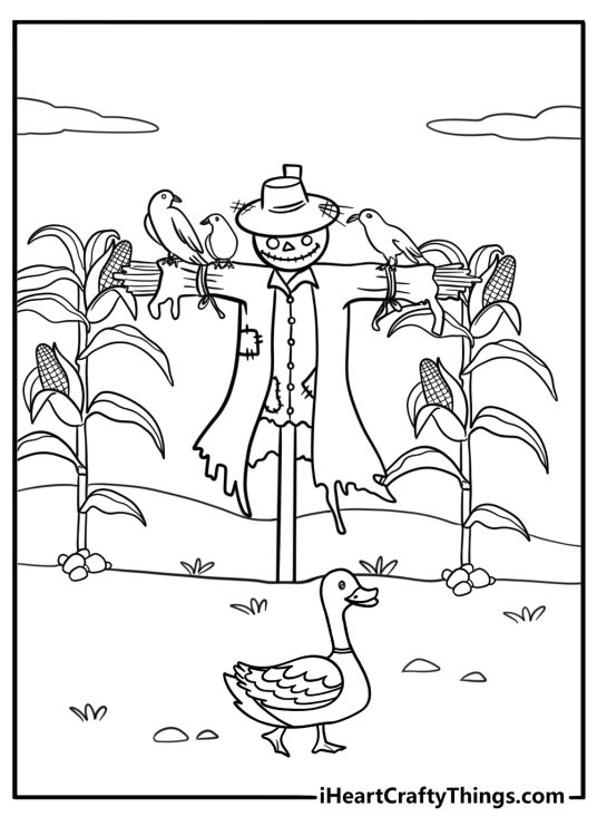 Goose and goslings near a scarecrow in the field cartoon coloring page