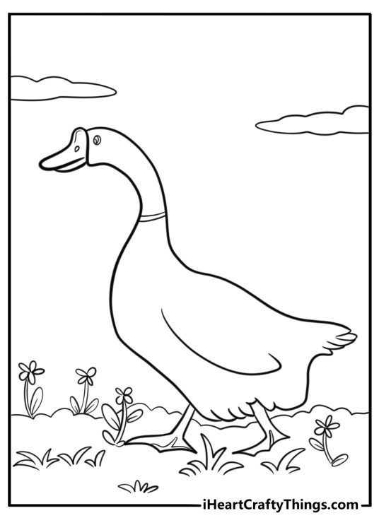 Goose coloring pages