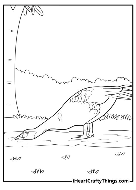 Goose drinking water from a puddle easy coloring sheet