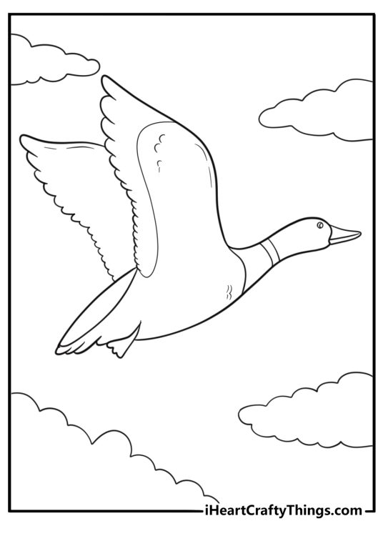 Goose flying with wings open simple coloring page