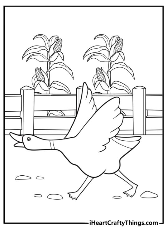 Goose honking near a wooden fence cartoon style coloring page