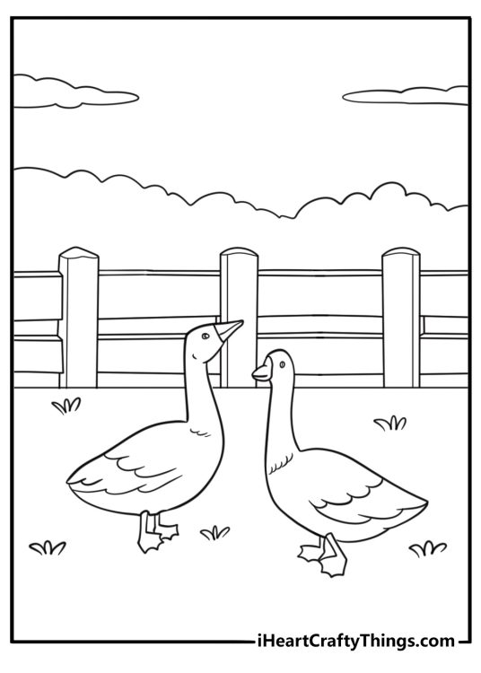 Goose standing in a farm field easy coloring page for kids