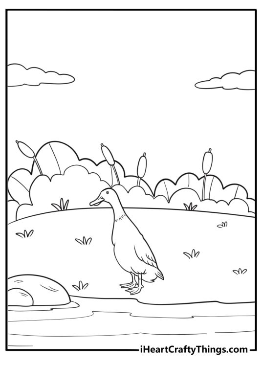 Goose standing in shallow water reeds around coloring sheet