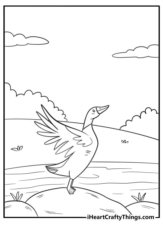 Goose stretching wings on a rock by the water coloring sheet