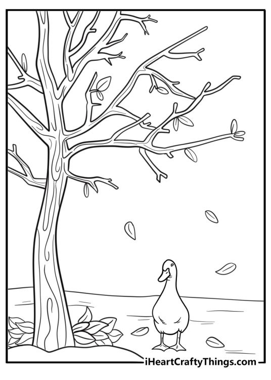 Goose under a tree with falling leaves autumn coloring sheet