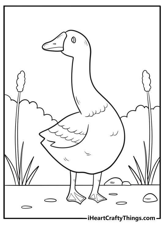 Goose with neck stretched out detailed coloring page