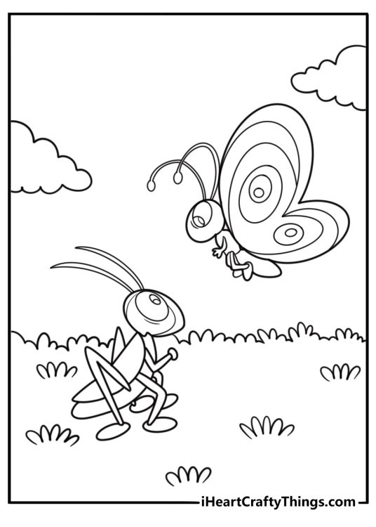 Grasshopper and butterfly together cartoon style coloring page