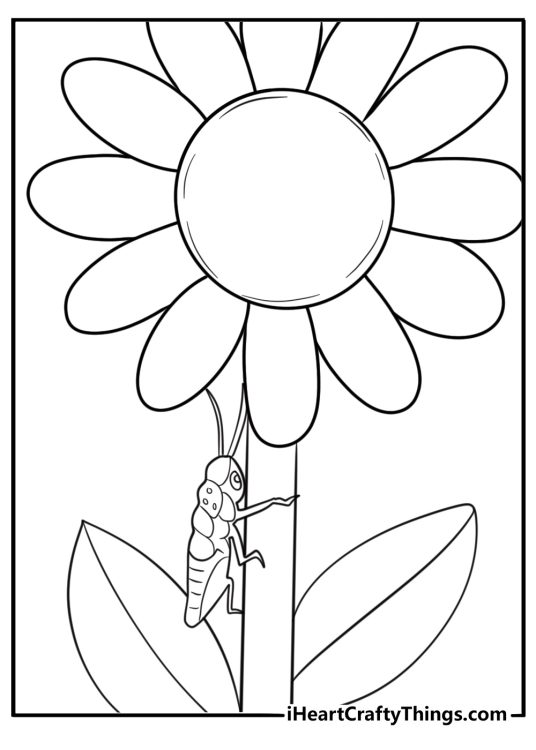 Grasshopper climbing a sunflower tall plant coloring page