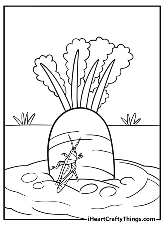 Grasshopper in a vegetable garden farm themed coloring sheet