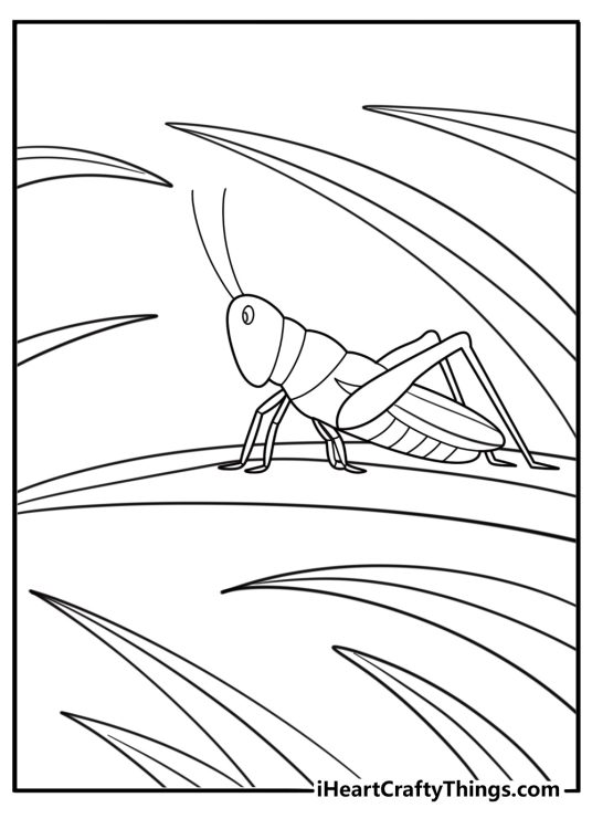 Grasshopper in tall grass prairie themed coloring sheet