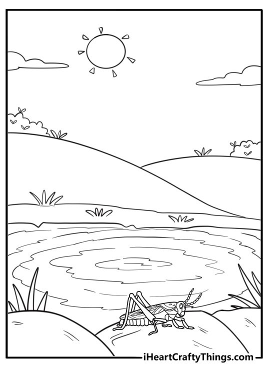 Grasshopper resting beside a small pond easy outdoor coloring sheet