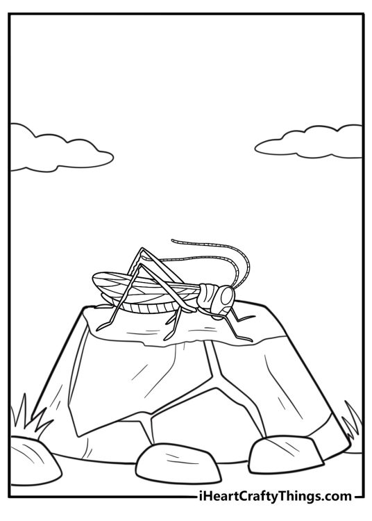 Grasshopper resting on a rock easy coloring page