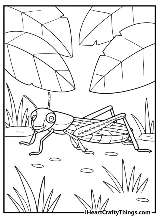 Grasshopper surrounded by leaves garden scene coloring sheet