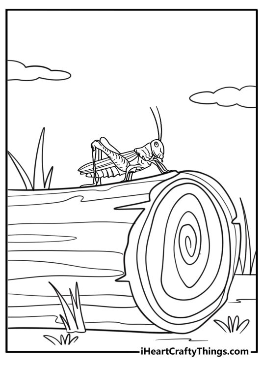 Grasshopper walking on a log forest themed coloring page