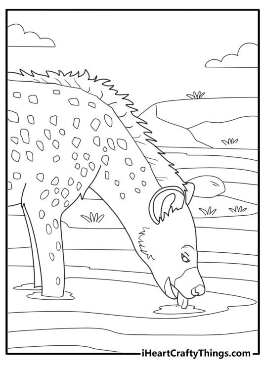 Hyena drinking water from a pond nature coloring page