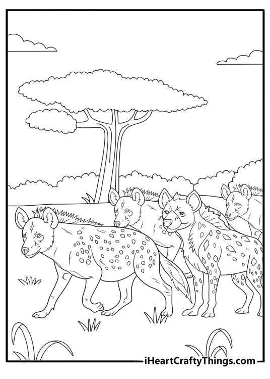 Hyena pack walking together detailed coloring sheet