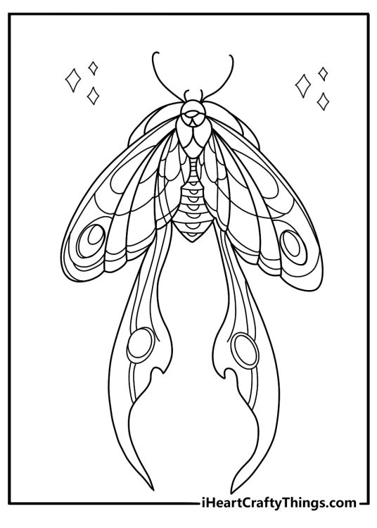 Luna moth with long tails printable coloring sheet